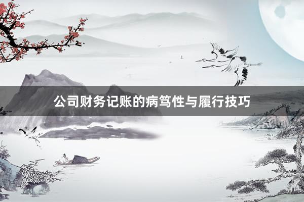 公司财务记账的病笃性与履行技巧