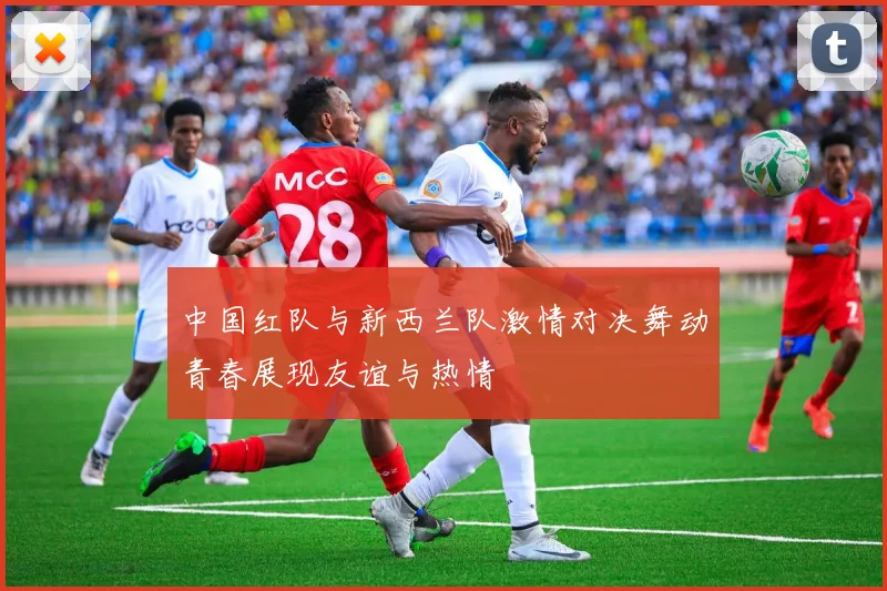 中国红队与新西兰队激情对决舞动青春展现友谊与热情