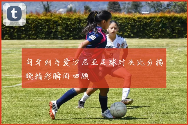 匈牙利与爱沙尼亚足球对决比分揭晓精彩瞬间回顾