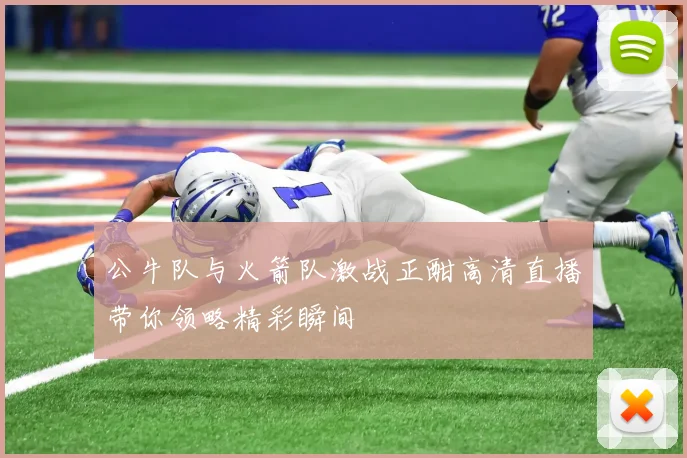 公牛队与火箭队激战正酣高清直播带你领略精彩瞬间