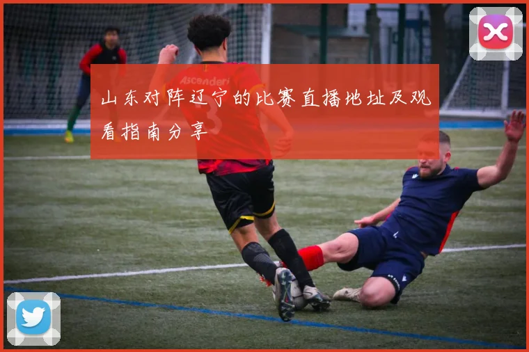 山东对阵辽宁的比赛直播地址及观看指南分享