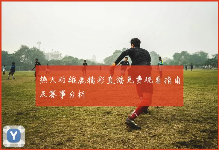 热火对雄鹿精彩直播免费观看指南及赛事分析
