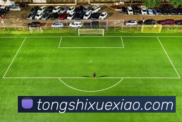 EMC易倍发展历程